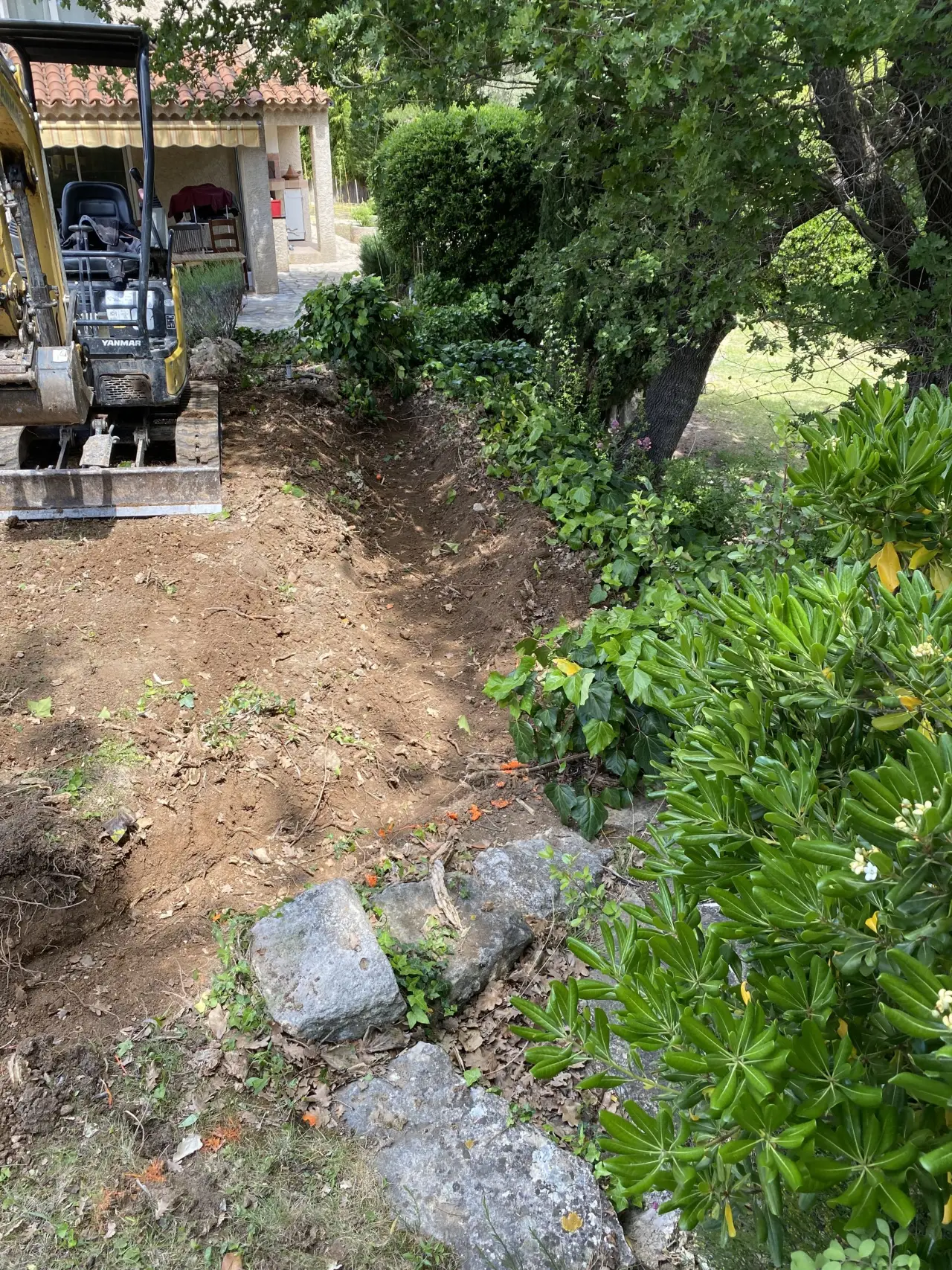 Terrain avant les travaux de terrassement