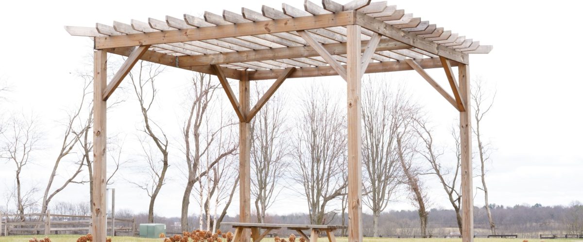 A tranquil green lawn with a wooden pergola